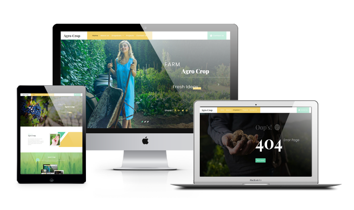 Web Responsive Image